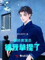 傲娇明星小说by