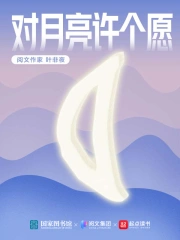 对月亮许个愿叶非夜