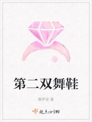 23舞鞋