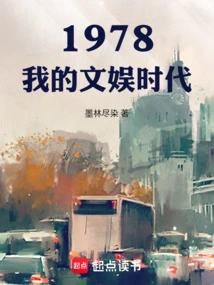 从1978开始的文娱时代小说