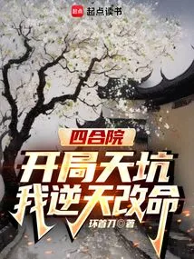 买四合院的小说