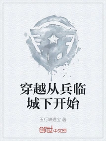 穿越从小兵开始的小说