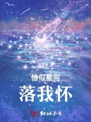 恰似星辰落深海 小说