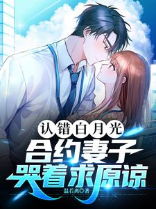 你离婚我娶你小说