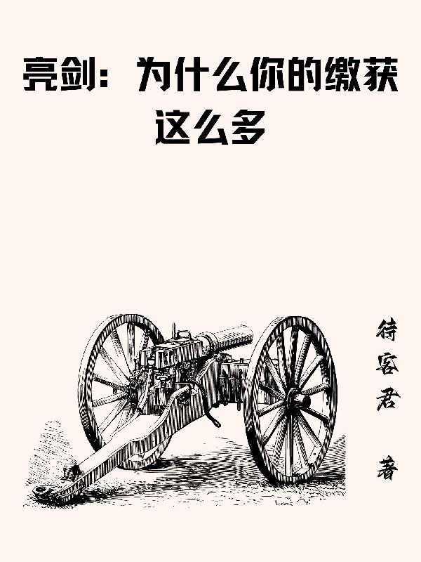 亮剑为什么这么经典