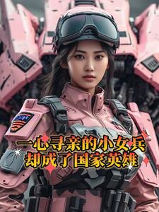 一心寻亲的小女兵却成了国家英雄小说