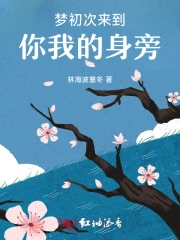 第一次来到你的身边是什么歌