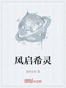 风启组合