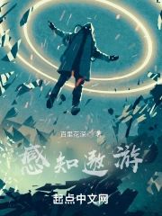 游戏《感知》