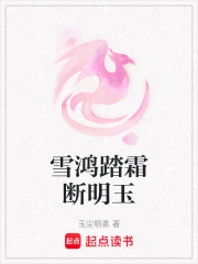 雪泥鸿爪