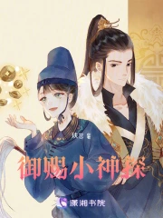 御赐小神探
