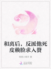 《和反派离婚之后》