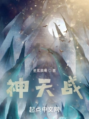 神天战尊永耀之恒小说阅读
