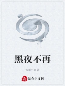 黑夜不再来小说免费阅读