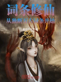 词条 小说