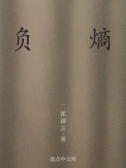 负熵金字塔