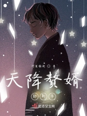 天降赘婿郭斯宇