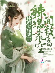休夫再嫁的穿越小说