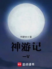 神游记一V