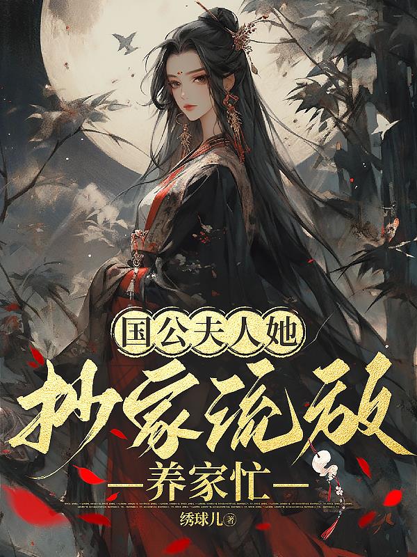 国公夫人小说