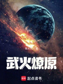 武火燎原小说