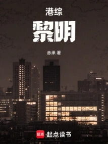 港综电视剧小说