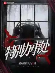 特别办事处小说