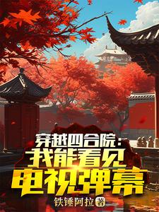 人在四合院跑香港去小说