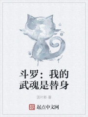 斗罗我的武魂是魂环 小说