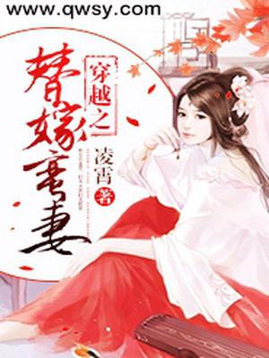 穿越之替嫁妻夜雨寄灯晋江