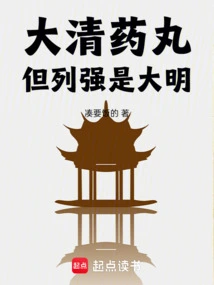 大清药丸是啥