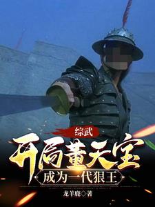 综武开局董天宝成为一代狠王小说下载