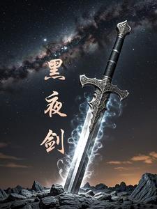黑夜剑士套