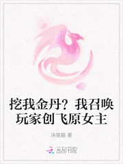 我召唤了玩家小说