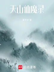 天山仙魔录文笔怎么样