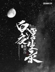 小说 白夜