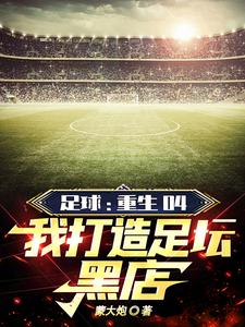 足球年票是什么意思