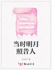 当时明月照高楼 小说
