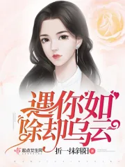 遇你如除却乌云什么歌