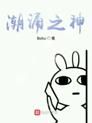 潮涌之心顶级完整框架