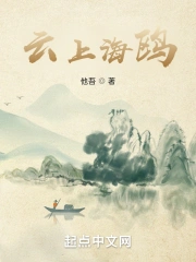 海上海鸥飞翔图片