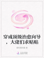 穿成顶级治愈向导