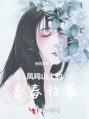 凤鸣山什么意思