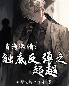 商海情迷小说
