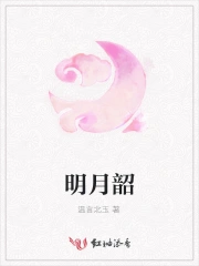 明月风华小说