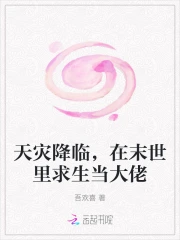 末世天灾来临 小说