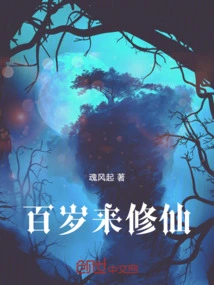 百岁老将小说