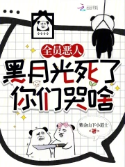 全员恶人小说快穿
