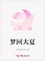 梦回大夏电视剧