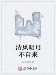 清风明月不自来